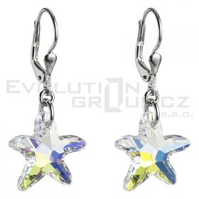 Ohrringe mit Swarovski Elements 31007.2 kristall ab